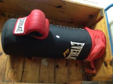 An Everlast punch bag with gloves.