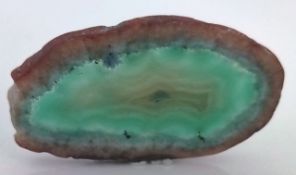 An agate green slice measuring approximately 1.75" across.