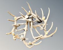 A deer antler six-way light fitting