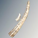 Two resin scrimshaw style tusks,