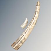 Two resin scrimshaw style tusks,