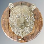A composite grizzly bear's head mounted on circular oak plaque,