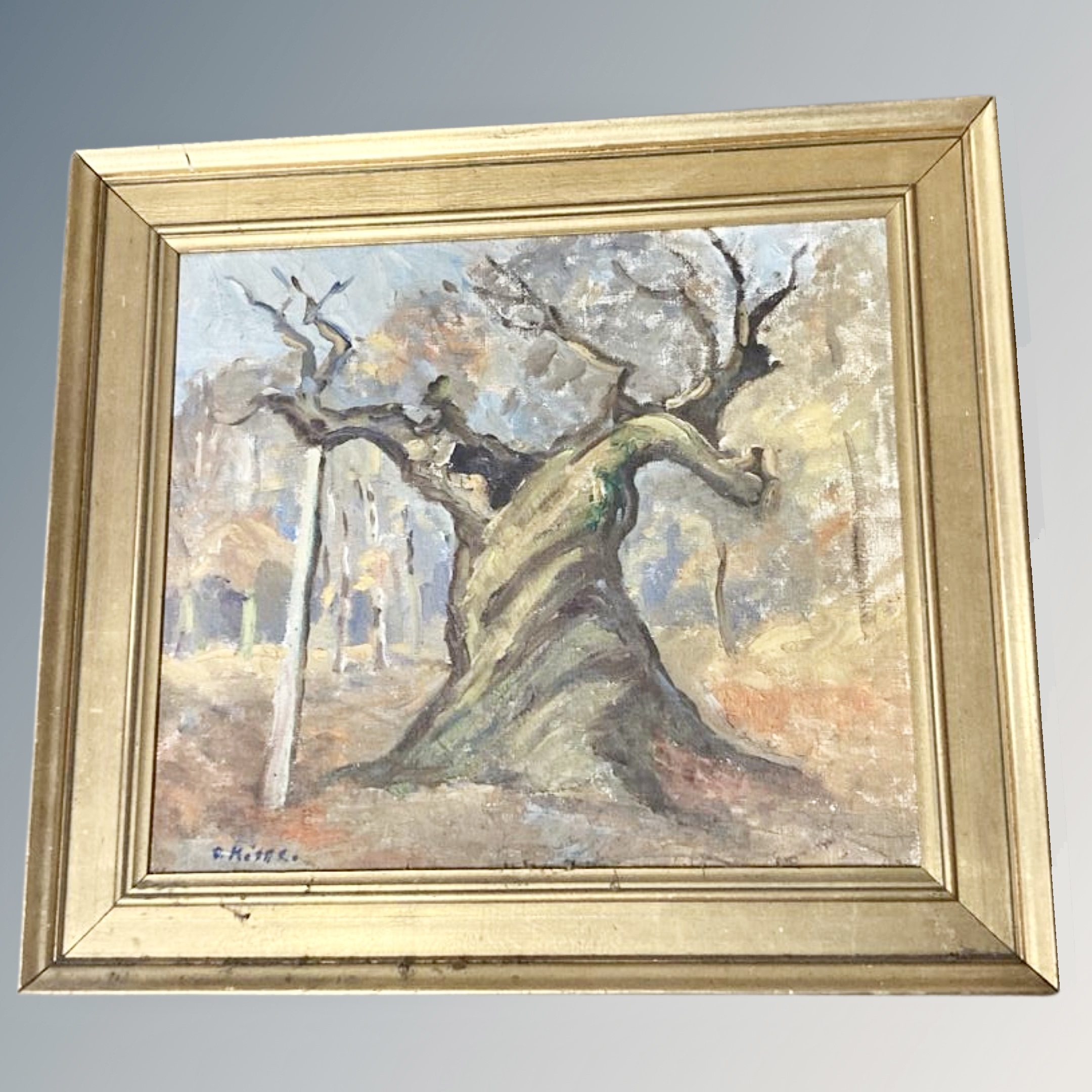 O Kibbr : Tree Study, oil on canvas, 48 cm x 42 cm. Framed.