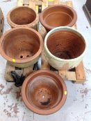 Five terracotta pots
