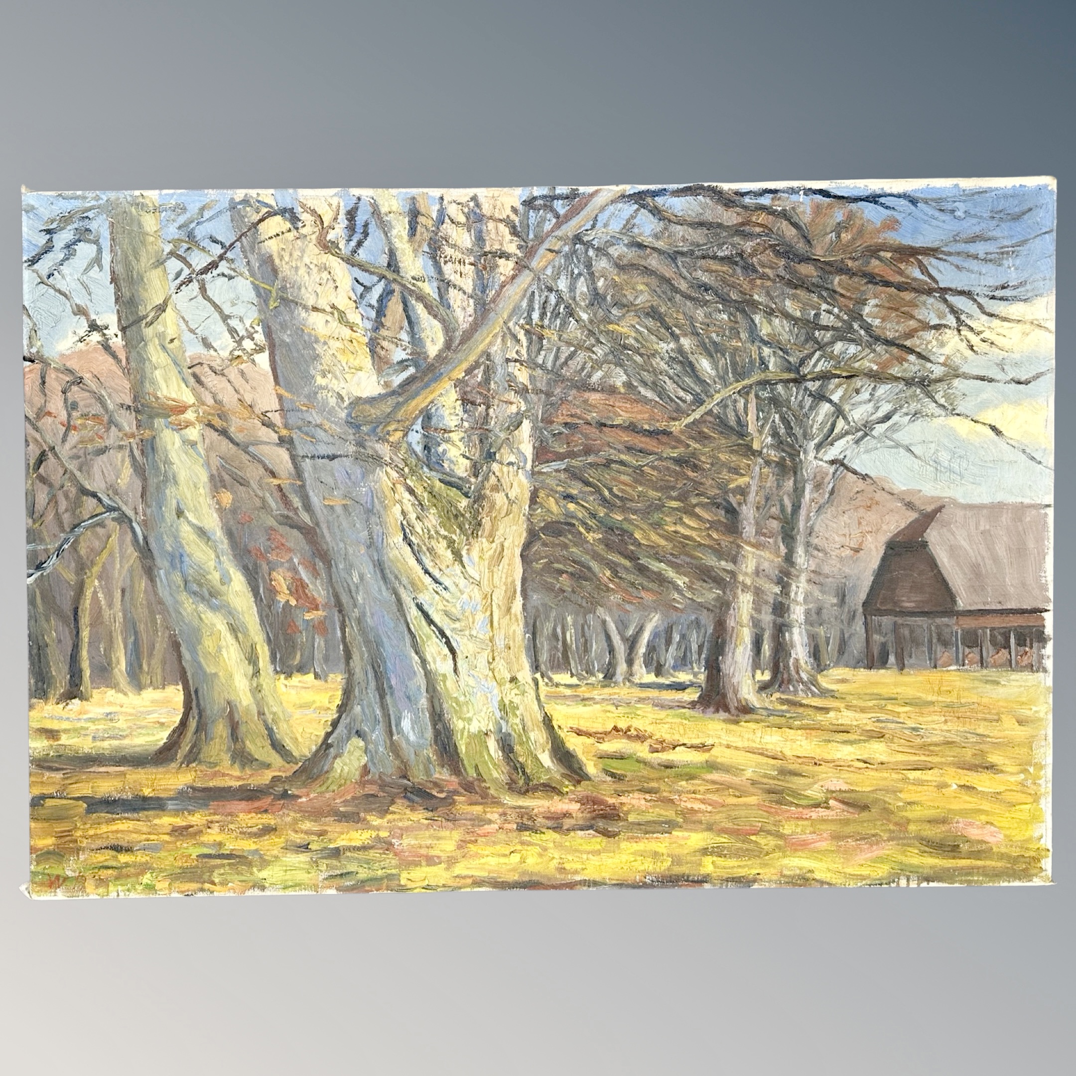 Continental School : Trees in autumn, oil on canvas, 97 cm x 67 cm, unframed.