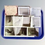 A collection of vintage glass slides.