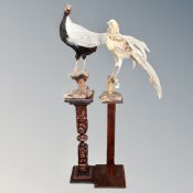 Two taxidermy studies of silver and golden pheasants on plinths (2)