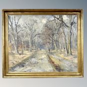 Continental School : A woodland track, oil on canvas,