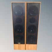 A pair of Eltax Century 300 tower speakers.