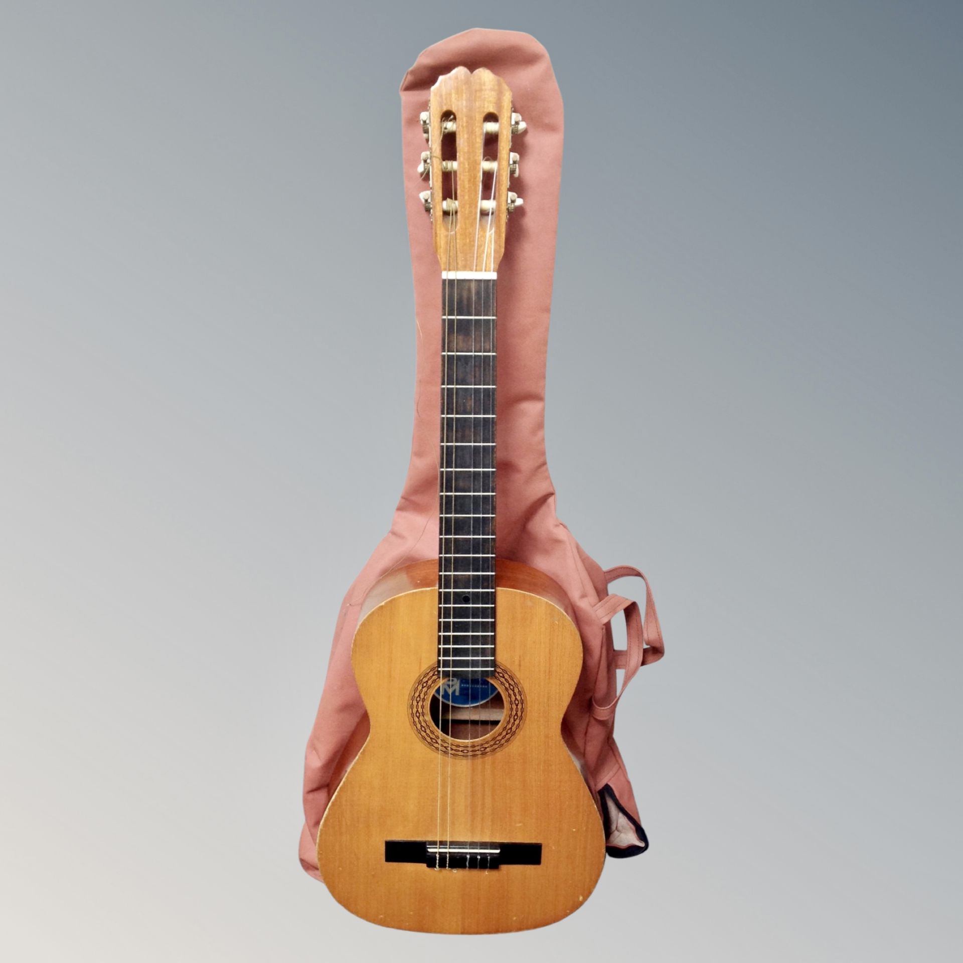 A BM Clasico Spanish acoustic guitar in carry bag