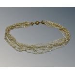 A seven strand pearl necklace with 18ct yellow gold clasp, length 43cm.