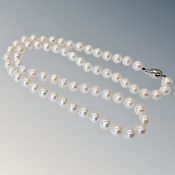 A strap of pearls on white gold clasp.