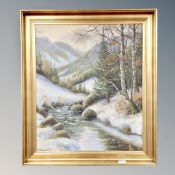 Continental School : River at winter, oil on canvas,