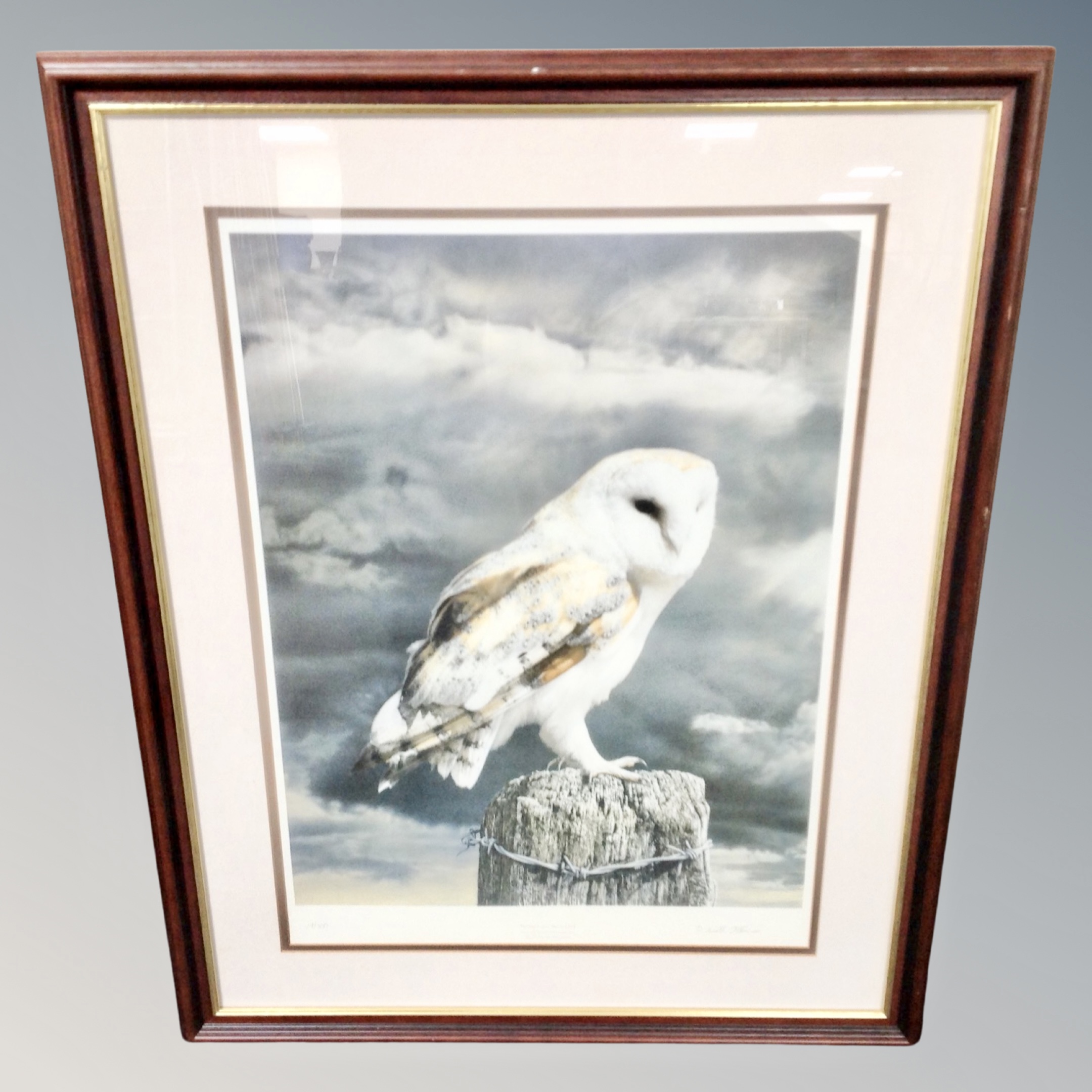 A D Scott Atkinson signed limited edition print - Portrait of a Barn owl 19/500 framed.