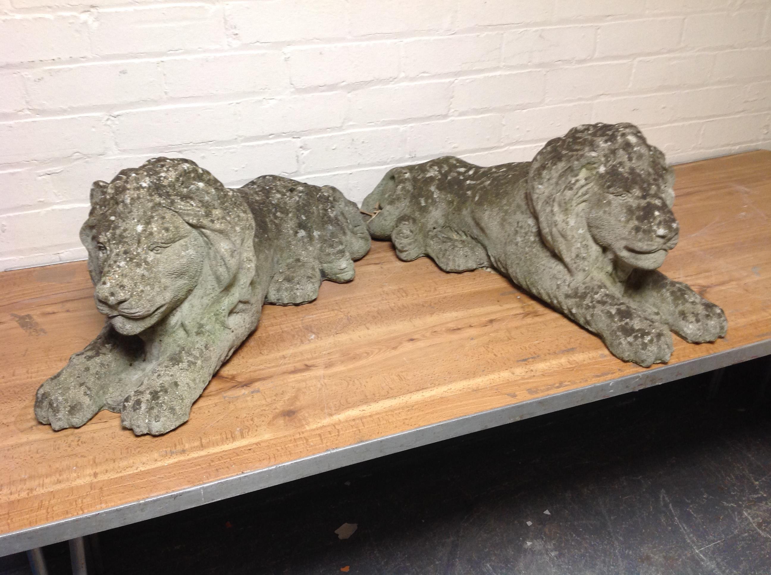 A pair of concrete garden recumbent lion figures, length 70 cm, height 30 cm.