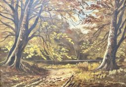 Continental School : A woodland track, oil on canvas,