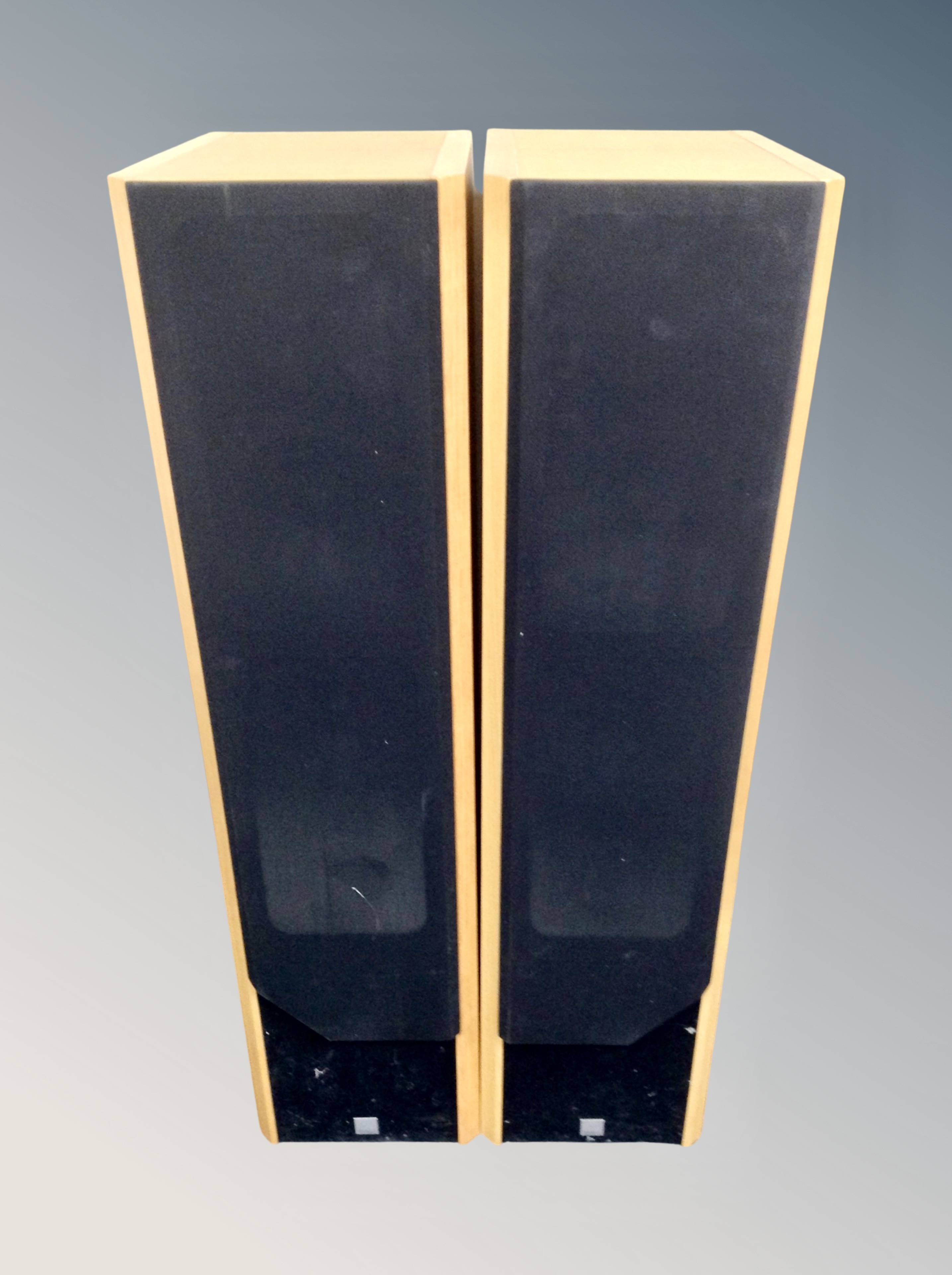 A pair of Dali floor standing speakers (no leads).