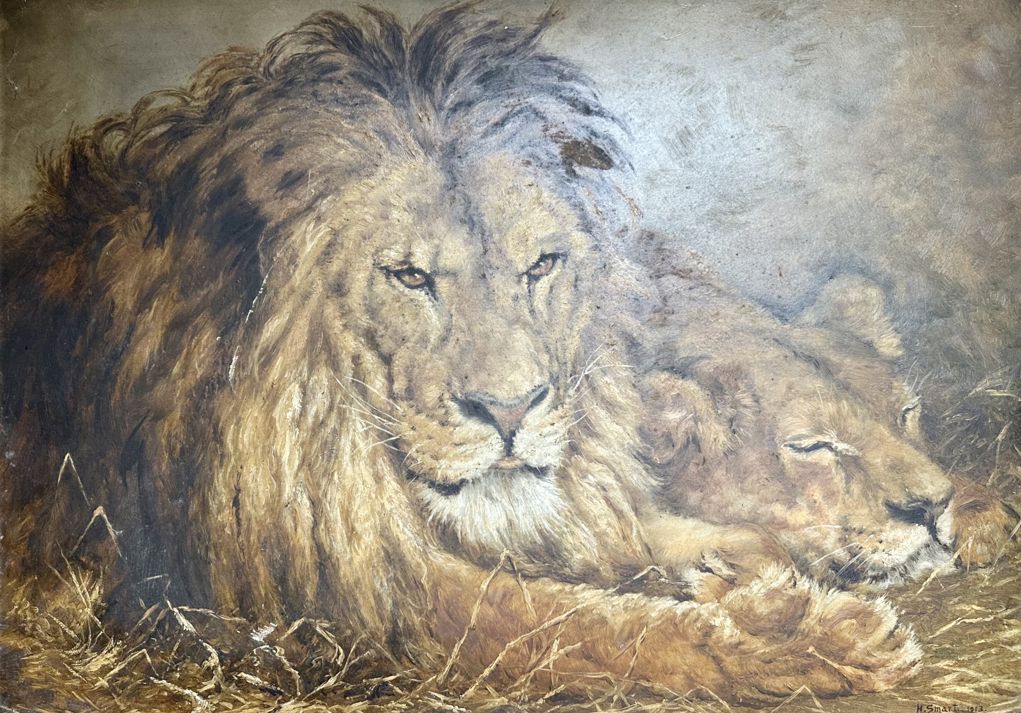 H Smart : Lion and Lioness, oil on board,