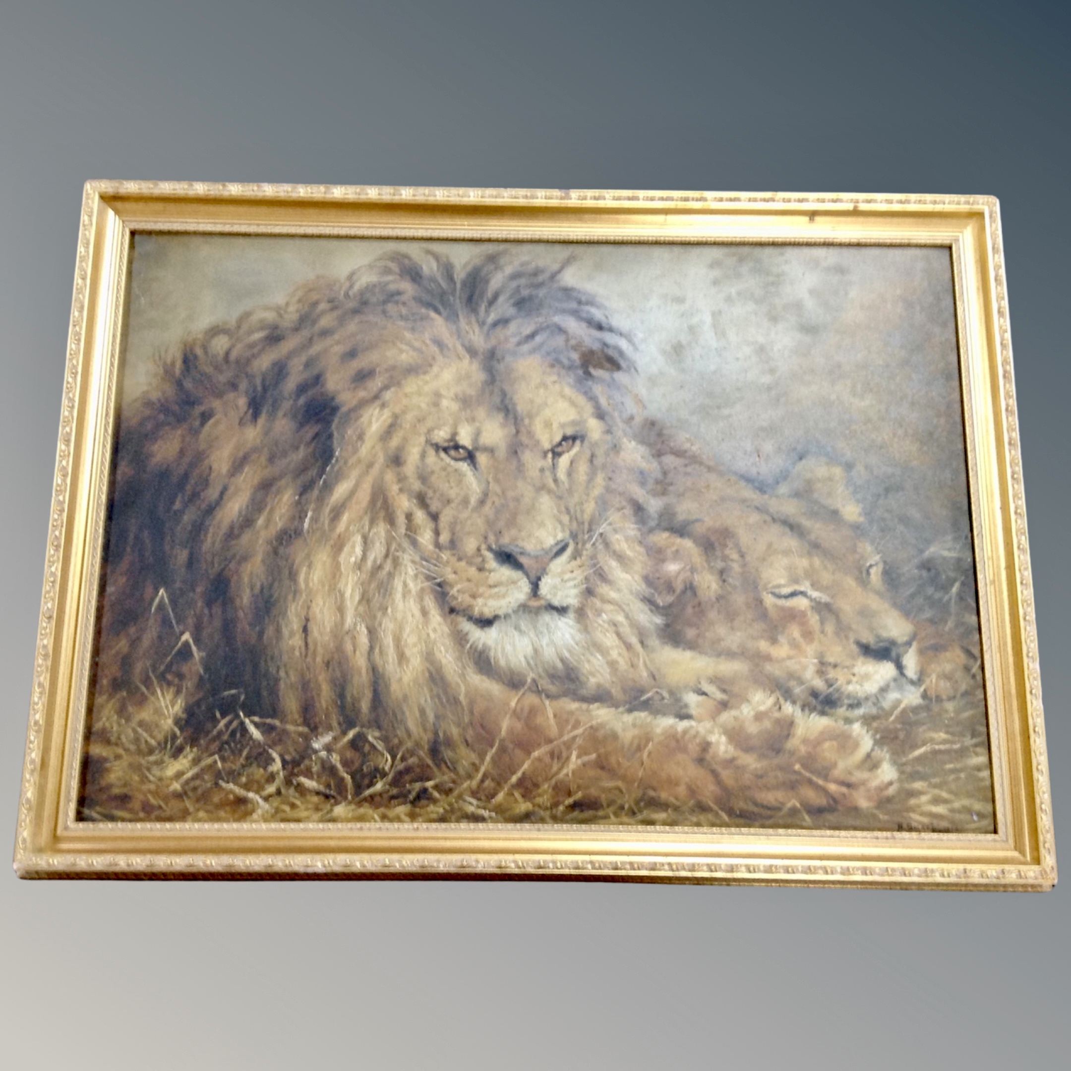 H Smart : Lion and Lioness, oil on board, - Image 2 of 2