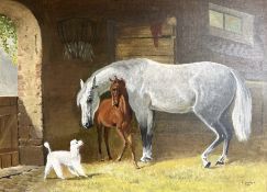 F Linfoot : Horse, foal and poodle in stable, oil on board,
