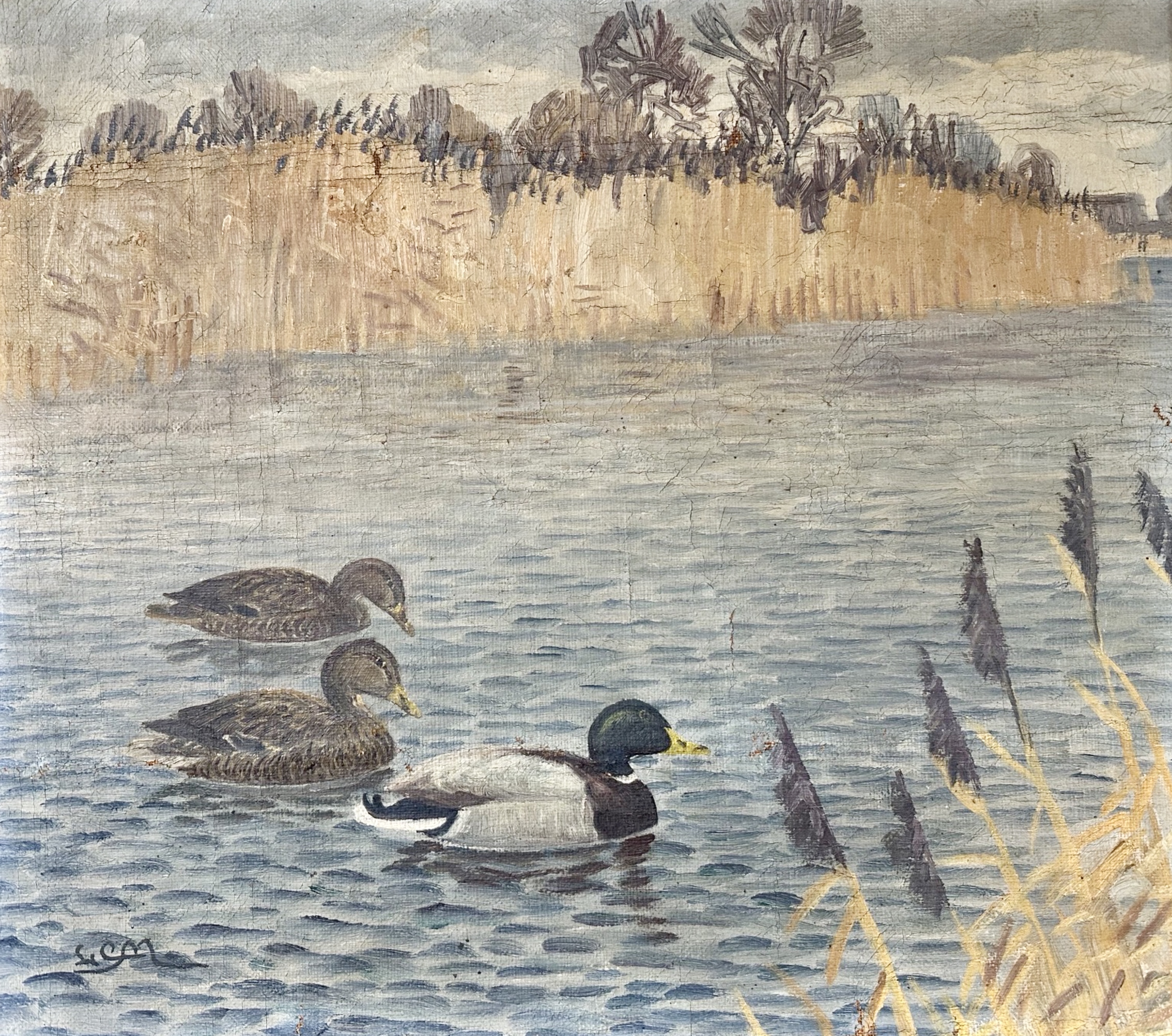 Danish School : Ducks on a river, oil on canvas, 45 cm x 40 cm.
