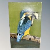 Continental School : Study of a Kingfisher, oil on canvas, 40 cm x 60 cm.