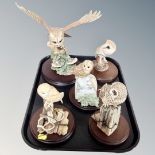 Five Border Fine Arts owls on wooden plinths
