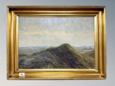 Danish School : Moorland landscape, oil on canvas,