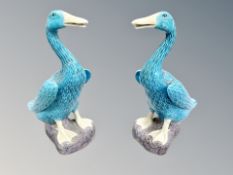 A pair of Chinese porcelain turquoise glaze ducks,