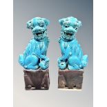 A pair of Chinese porcelain turquoise glaze foo dogs,