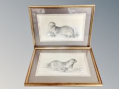 John Edwards : Otters, a pair of pencil sketches, 36cm by 20cm.