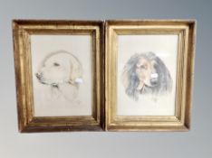 S Winn : Two dog portraits, colour pencil sketches, dated 1974, 28cm by 20cm.