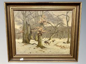 Danish School : Deer in woodland, oil on canvas,