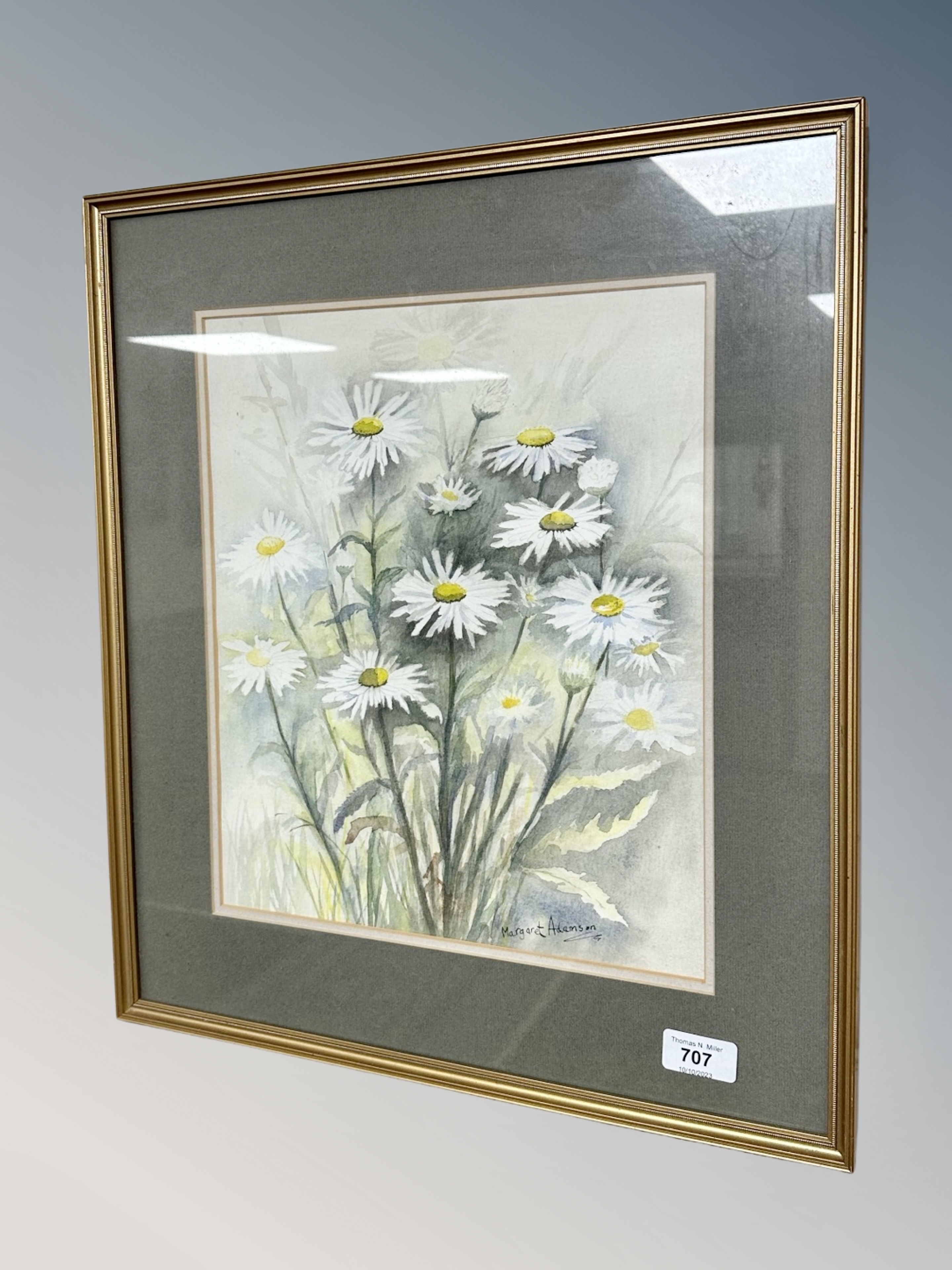 Margaret Adamson : Still life of daisies, watercolour,