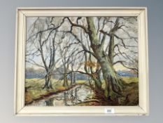 Danish School : Stream through woodland, oil on canvas ,