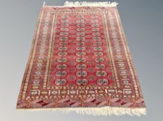 A Tekke rug Afghanistan 196 cm x 122 cm
