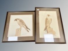 Two contemporary signed prints depicting birds of prey (2)