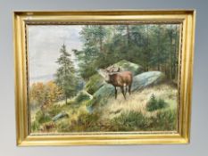 Continental school : stag by a rock, oil on canvas,