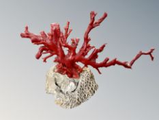 A red coral specimen, 28cm wide by 18cm high CONDITION REPORT: Condition looks ok,