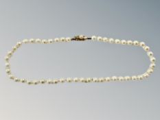 A single strand cultured pearl necklace on 9ct gold clasp