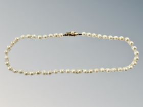 A single strand cultured pearl necklace on 9ct gold clasp