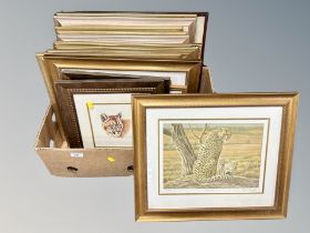 A box of pictures and prints, Steven Gayford wildlife prints,