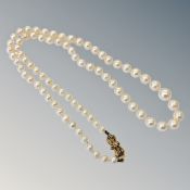A strand of pearls with gold clasp