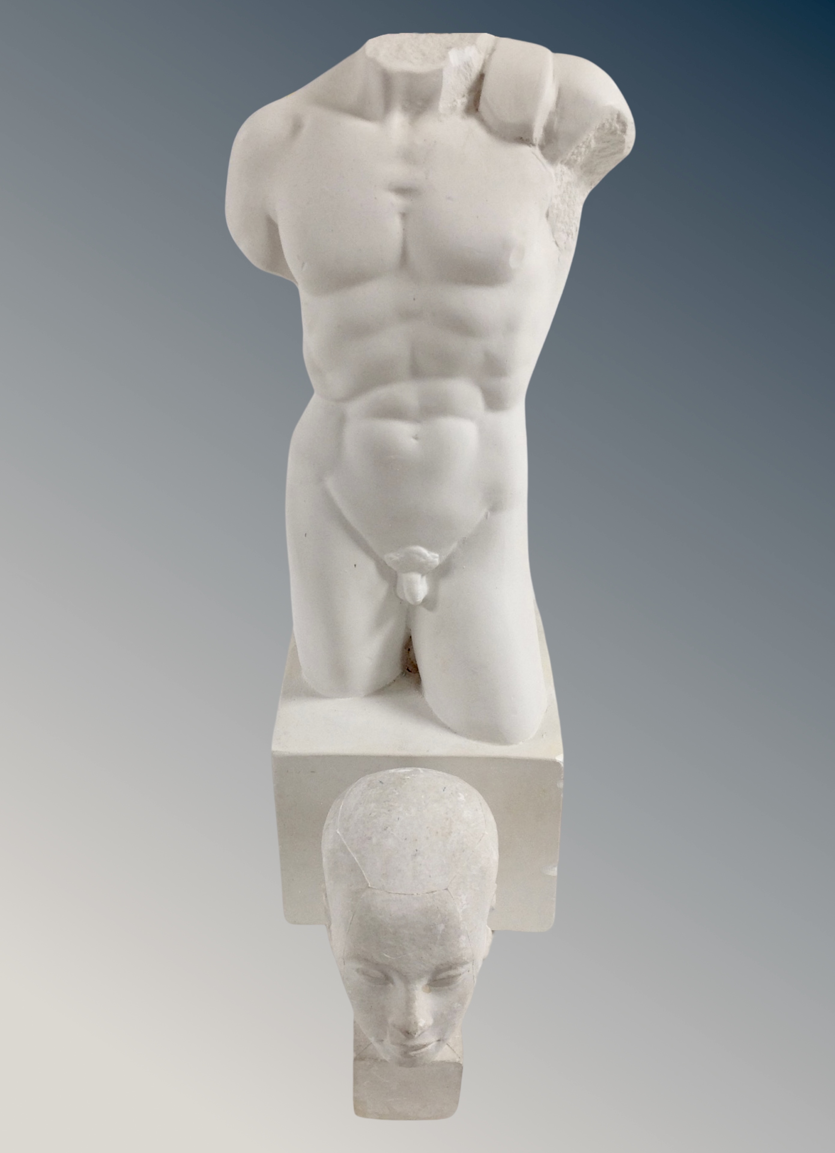 A plaster bust of a nude male torso, height 36 cm,