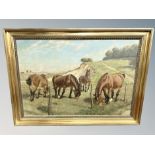 C Herpz : horses in a field, oil on canvas,
