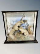 A Victorian taxidermy pair of squirrels in glazed display case,