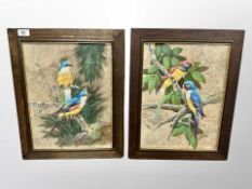 Continental School : Study of birds, oil on tobacco leaf, 30 cm x 39 cm,