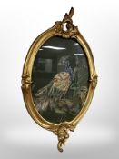 A needlework picture of a peacock in Roccoco style gilt frame,