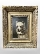 British School (19th century) : Portrait of a terrier, oil on board, 21 cm x 15 cm,
