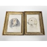 S Winn : Two portraits of dogs, colour chalks, signed in pencil and dated '74, each 29 cm x 20 cm.